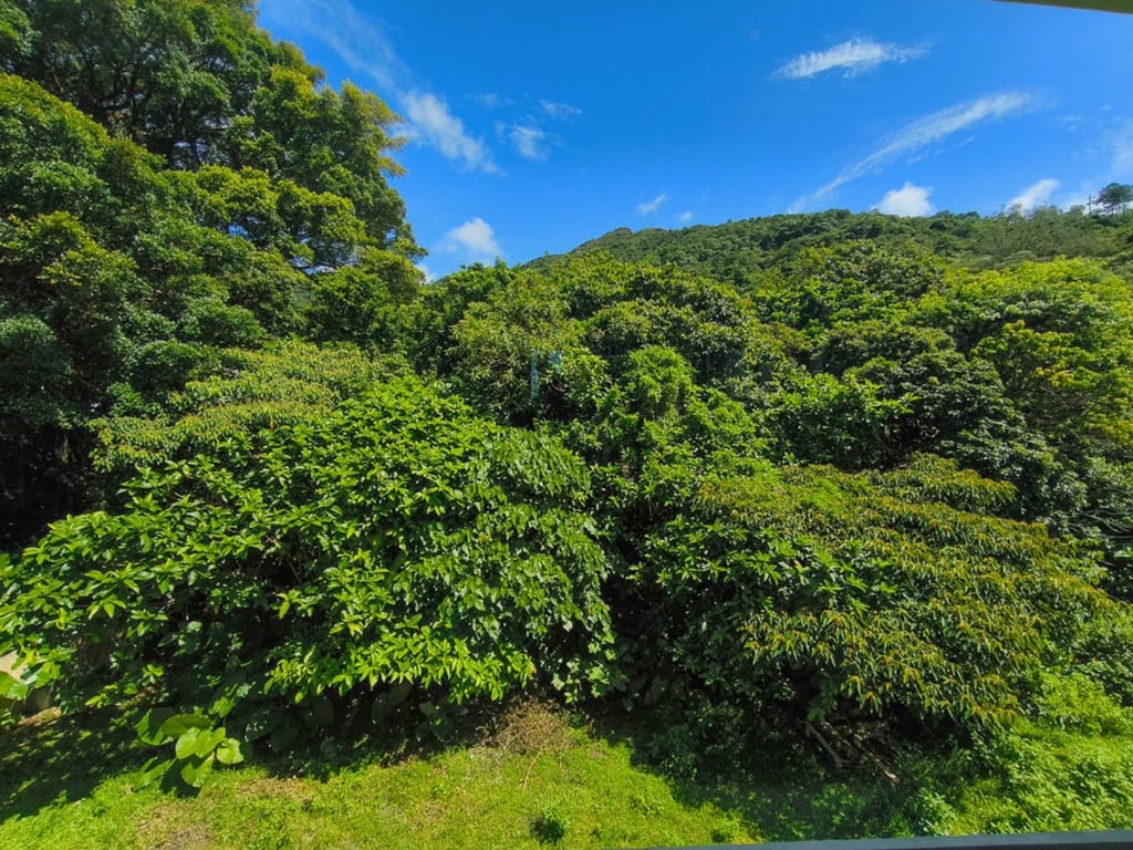 https://img.propertyraptor.com/cdn-cgi/imagedelivery/KD5bF_AFL0JDTbKLWF7z9g/ap8/ap8_001/hornet/prp/img/018bfb337875ccf2438afb2ee8281d93.jpg/public