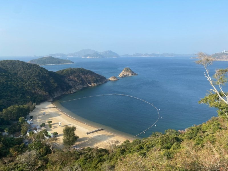 The Cove