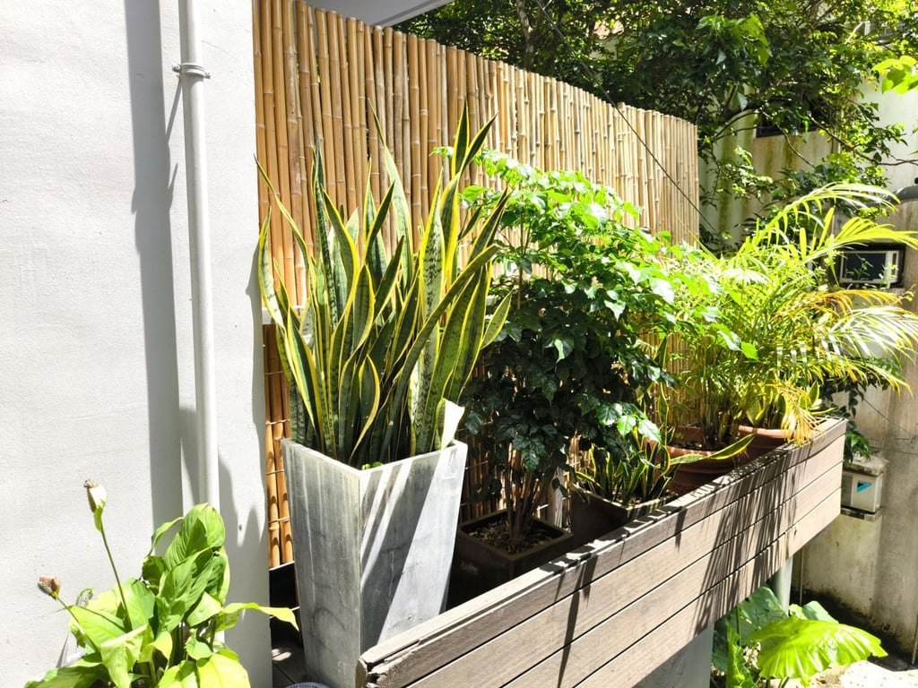 https://img.propertyraptor.com/cdn-cgi/imagedelivery/KD5bF_AFL0JDTbKLWF7z9g/ap8/ap8_001/hornet/prp/img/49ea779f2e7a330a85a0ab6ab70a2905.jpg/public