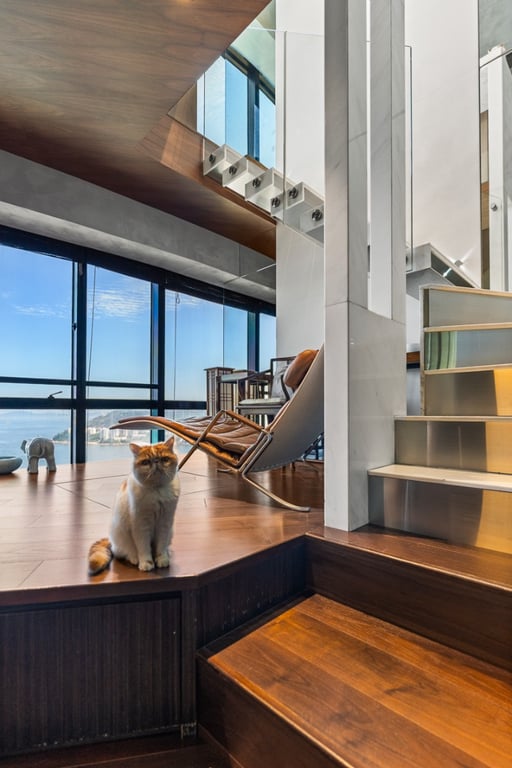 Pacific View