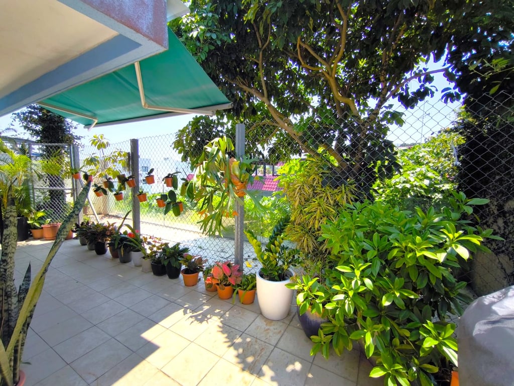 https://img.propertyraptor.com/cdn-cgi/imagedelivery/KD5bF_AFL0JDTbKLWF7z9g/ap8/ap8_001/hornet/prp/img/698213e02026d8f379611db51d9cd087-wtm.jpg/public