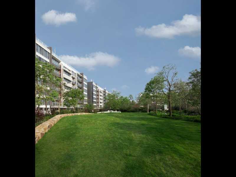 Mount Pavilia