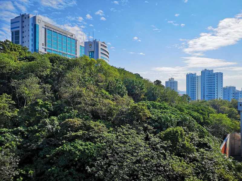 Regent Palisades