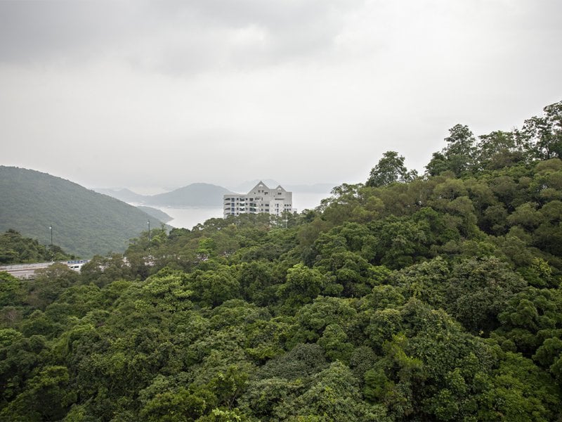 Mount Pavilia
